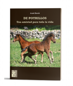De potrillos