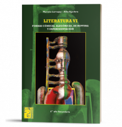 Literatura VI